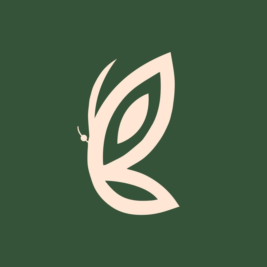 Delineare